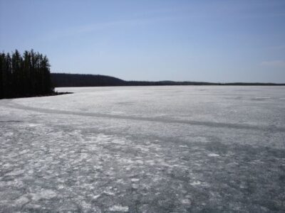 Off-Grid and Free: Living With Wolves and Remote Communications Image